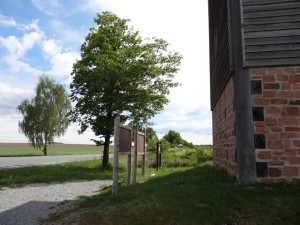 Wachturm Odenwaldlimes