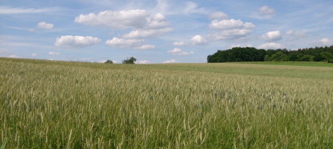 Radtour Odenwälder Höhenrücken