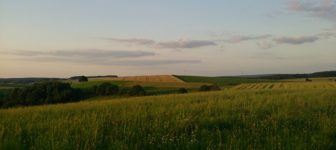 Nibelungensteig (Teilstrecke)